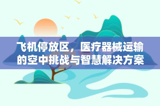 飞机停放区，医疗器械运输的空中挑战与智慧解决方案