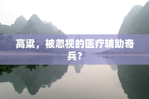 高粱，被忽视的医疗辅助奇兵？