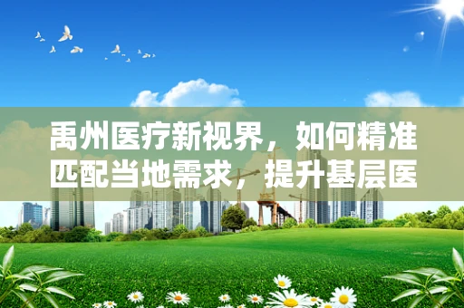 禹州医疗新视界，如何精准匹配当地需求，提升基层医疗设备效能？