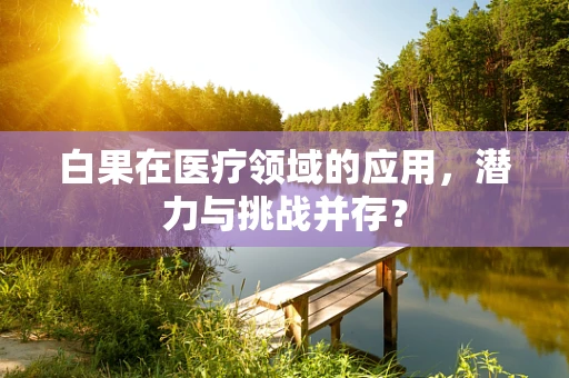 白果在医疗领域的应用，潜力与挑战并存？