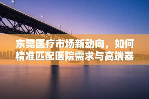 东莞医疗市场新动向，如何精准匹配医院需求与高端器械创新？