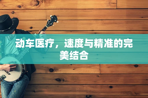 动车医疗，速度与精准的完美结合