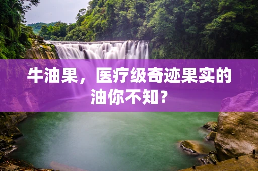 牛油果，医疗级奇迹果实的油你不知？