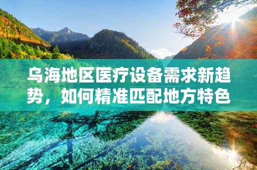 乌海地区医疗设备需求新趋势，如何精准匹配地方特色？