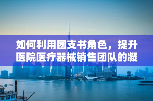 如何利用团支书角色，提升医院医疗器械销售团队的凝聚力与创新能力？