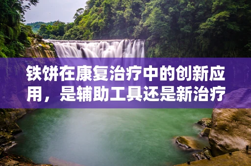 铁饼在康复治疗中的创新应用，是辅助工具还是新治疗趋势？