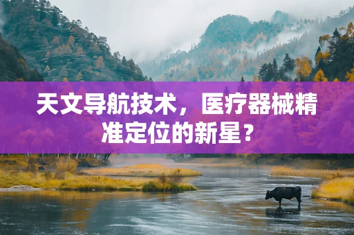 天文导航技术，医疗器械精准定位的新星？