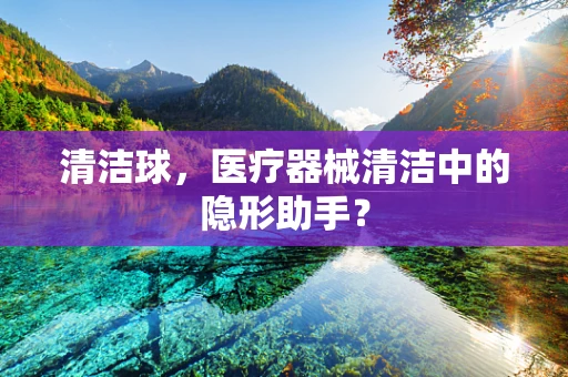 清洁球，医疗器械清洁中的隐形助手？
