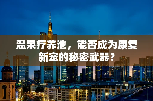 温泉疗养池，能否成为康复新宠的秘密武器？