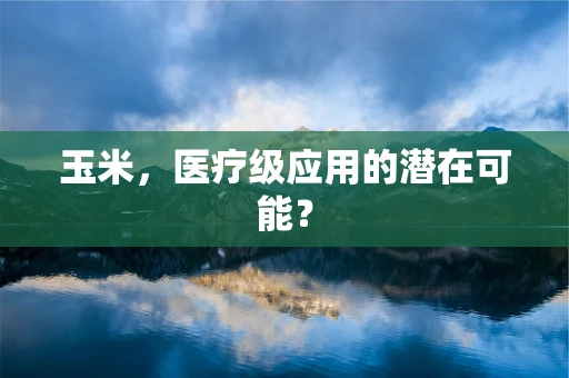 玉米，医疗级应用的潜在可能？