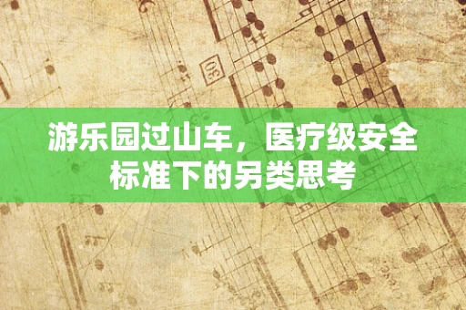 游乐园过山车，医疗级安全标准下的另类思考