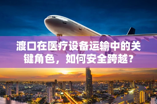 渡口在医疗设备运输中的关键角色，如何安全跨越？