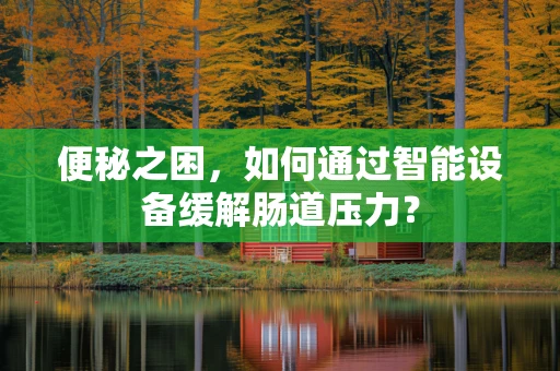 便秘之困，如何通过智能设备缓解肠道压力？