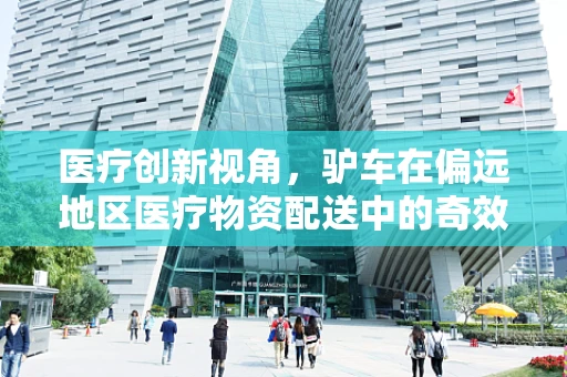 医疗创新视角，驴车在偏远地区医疗物资配送中的奇效与挑战