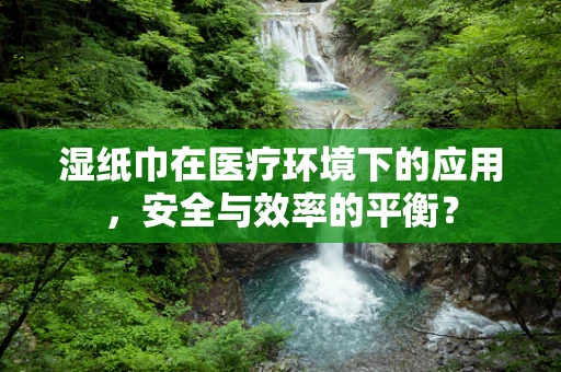 湿纸巾在医疗环境下的应用，安全与效率的平衡？