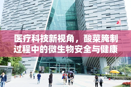 医疗科技新视角，酸菜腌制过程中的微生物安全与健康考量