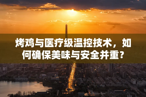 烤鸡与医疗级温控技术，如何确保美味与安全并重？