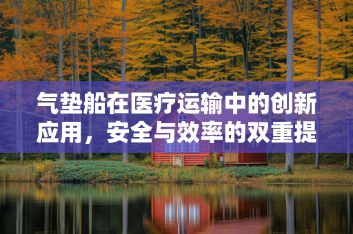 气垫船在医疗运输中的创新应用，安全与效率的双重提升？