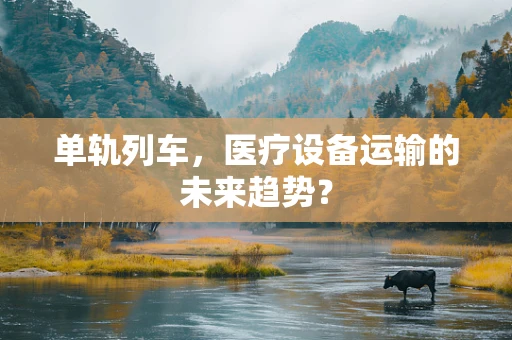 单轨列车，医疗设备运输的未来趋势？