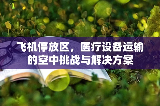 飞机停放区，医疗设备运输的空中挑战与解决方案