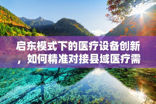 启东模式下的医疗设备创新，如何精准对接县域医疗需求？