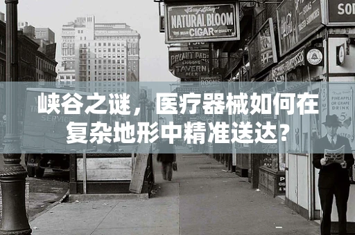 峡谷之谜，医疗器械如何在复杂地形中精准送达？