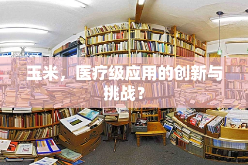玉米，医疗级应用的创新与挑战？