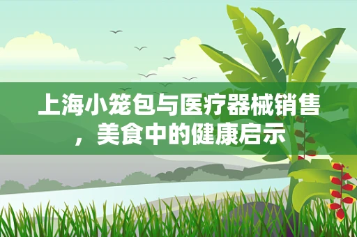 上海小笼包与医疗器械销售，美食中的健康启示