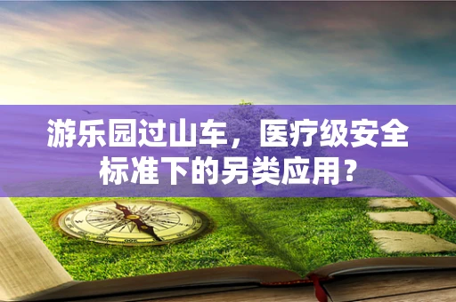 游乐园过山车，医疗级安全标准下的另类应用？