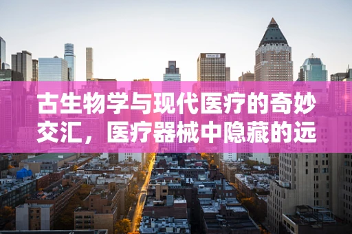 古生物学与现代医疗的奇妙交汇，医疗器械中隐藏的远古智慧？