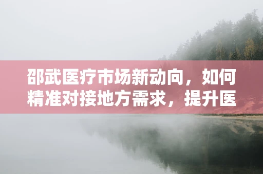 邵武医疗市场新动向，如何精准对接地方需求，提升医疗服务效率？