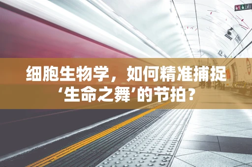 细胞生物学，如何精准捕捉‘生命之舞’的节拍？