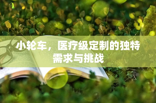 小轮车，医疗级定制的独特需求与挑战