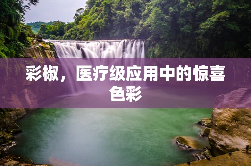 彩椒，医疗级应用中的惊喜色彩