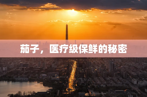 茄子，医疗级保鲜的秘密