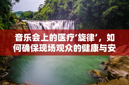 音乐会上的医疗‘旋律’，如何确保现场观众的健康与安全？