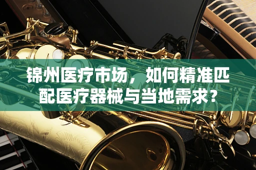 锦州医疗市场，如何精准匹配医疗器械与当地需求？