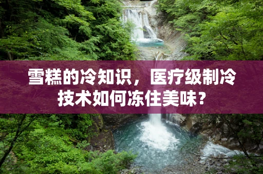 雪糕的冷知识，医疗级制冷技术如何冻住美味？