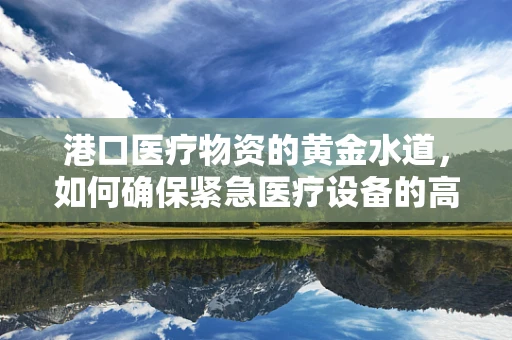 港口医疗物资的黄金水道，如何确保紧急医疗设备的高效运输？