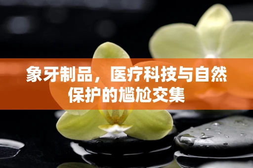 象牙制品，医疗科技与自然保护的尴尬交集