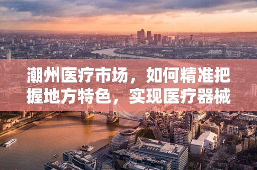 潮州医疗市场，如何精准把握地方特色，实现医疗器械的个性化推广？